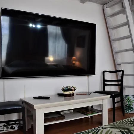 House Eroilor 아파트